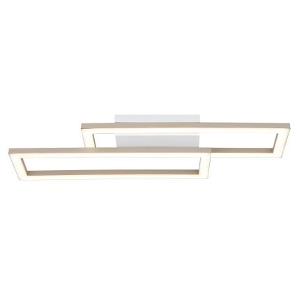 Globo - LED stropno svetlo 16W/230V 3000/4000/6000K