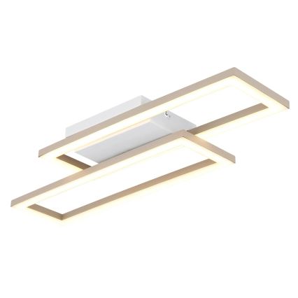 Globo - LED stropno svetlo 16W/230V 3000/4000/6000K