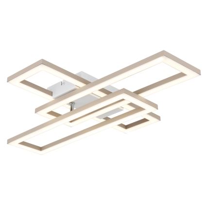Globo - LED Plafonsko svetlo LED/24W/230V 3000/4000/6000K