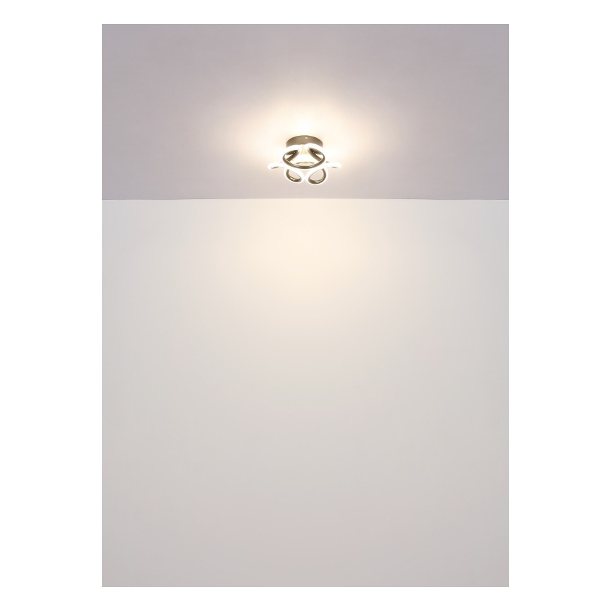 Globo - LED stropna svetiljka LED/24W/230V 2700/4000/6000K prečnik 26 cm crna