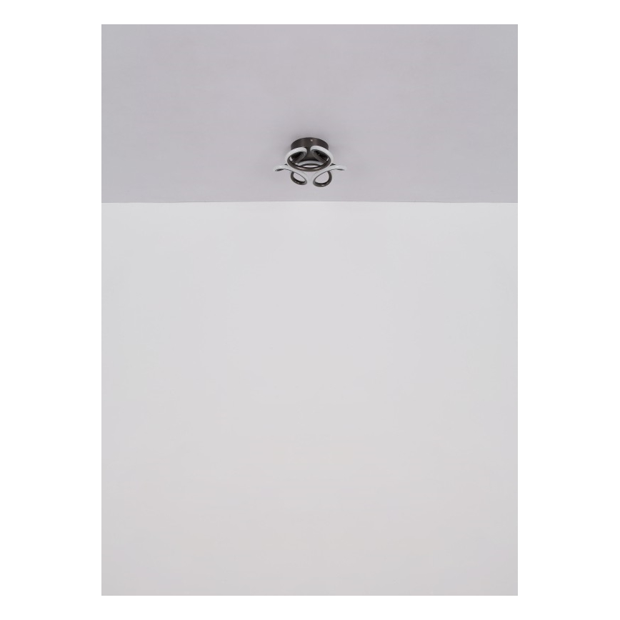 Globo - LED stropna svetiljka LED/24W/230V 2700/4000/6000K prečnik 26 cm crna