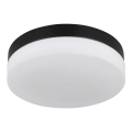Globo - Kupatilsko svetlo 2xE27/60W/230V prečnik 24 cm IP44