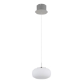 Globo - LED luster na sajli LED/6W/230V beo