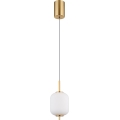 Globo - LED luster na sajli LED/7W/230V