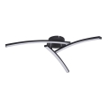 Globo - LED nadgradni plafonski luster 3xLED/6W/230V 3000/4000/6000K