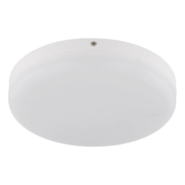 Globo - LED plafonska svetiljka 12W/230V 4000K Ø 22 cm bela