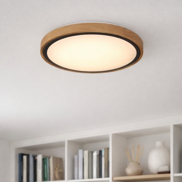 Globo - LED plafonska svetiljka LED/12W/230V 307 mm 3000/4500/6000K