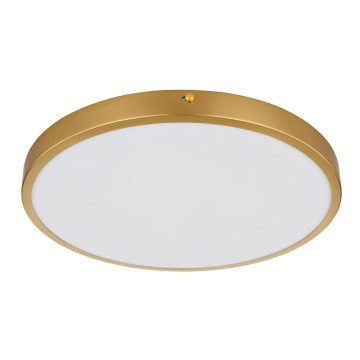 Globo - LED plafonska svetiljka LED/22W/230V, prečnik 35 cm