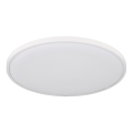 Globo - LED plafonska svetiljka LED/32W/230V 4000K prečnik 40 cm bela