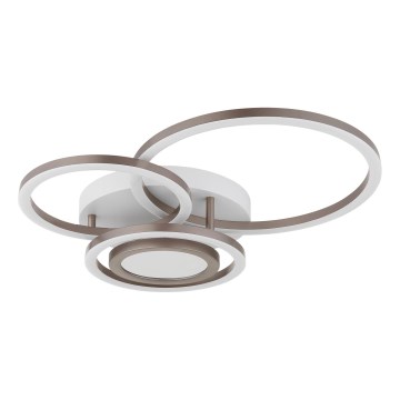 Globo - LED plafonska svetiljka LED/40W/230V 3000K 49x39 cm