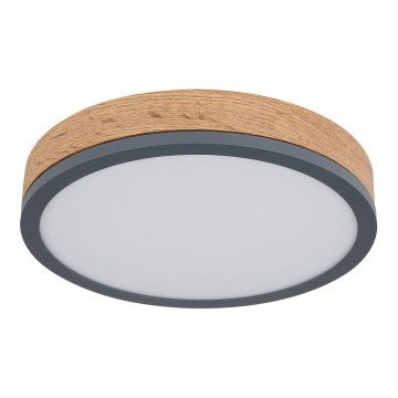 Globo - LED plafonsko svetlo 12W/230V, prečnika 30 cm