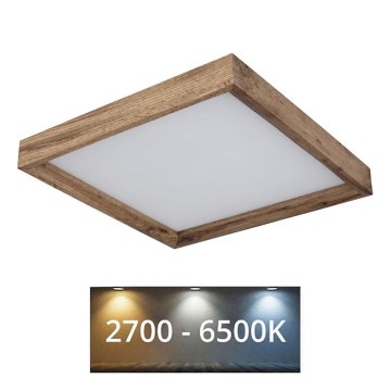 Globo - LED plafonsko svetlo LED/12W/230V 2700/4500/6500K 30x30 cm