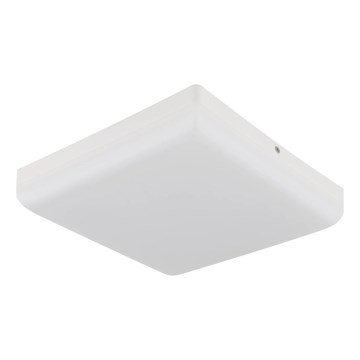 Globo - LED plafonsko svetlo LED/12W/230V 4000K 22x22 cm belo