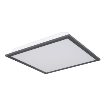 Globo - LED plafonsko svetlo LED/12W/230V