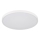 Globo - LED plafonsko svetlo LED/15W/230V 4000K, prečnik 23 cm, belo