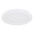 Globo - LED plafonsko svetlo LED/18W/230V 3000/4000/6500K belo