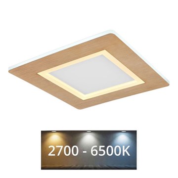 Globo - LED plafonsko svetlo LED/23W/230V 2700/6500K