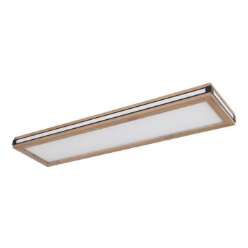 Globo - LED plafonsko svetlo LED/24W/230V 20x80 cm