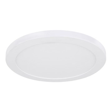 Globo - LED plafonsko svetlo LED/24W/230V 3000/4000/6500K belo
