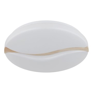 Globo - LED plafonsko svetlo LED/24W/230V 3000/4200/6000K prečnik 39 cm