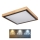 Globo - LED plafonsko svetlo LED/24W/230V 3000/4500/6000K
