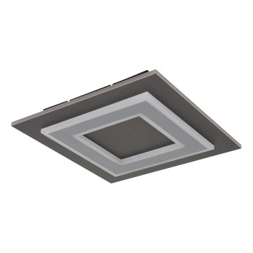 Globo - LED plafonsko svetlo LED/24W/230V 3000K 32x32 cm antracit