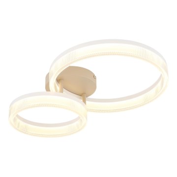 Globo - LED plafonsko svetlo LED/24W/230V 3000K 33x50 cm