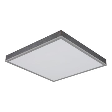 Globo - LED plafonsko svetlo LED/24W/230V 3000K 45x45 cm