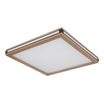 Globo - LED plafonsko svetlo LED/24W/230V 45x45 cm