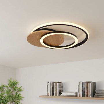 Globo - LED plafonsko svetlo LED/24W/230V crna