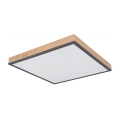 Globo - LED plafonsko svetlo LED/24W/230V