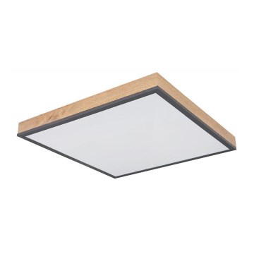 Globo - LED plafonsko svetlo LED/24W/230V