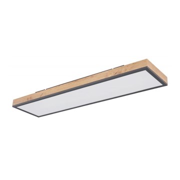 Globo - LED plafonsko svetlo LED/24W/230V