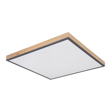 Globo - LED plafonsko svetlo LED/36W/230V