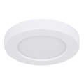 Globo - LED plafonsko svetlo LED/6W/230V 3000/4000/6500K belo