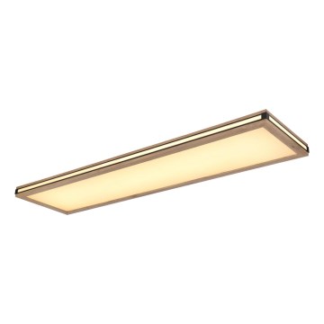 Globo - LED plafonsko svetlo prigušiva LED/36W/230V 3000K 30x120 cm
