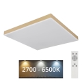Globo - LED prigušiva plafonska lampa LED/24W/230V 2700-6500K zlatna + daljinski upravljač