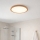 Globo - LED prigušiva stropna lampa za kupatilo LED/18W/230V prečnik 29,4 cm IP44 braon
