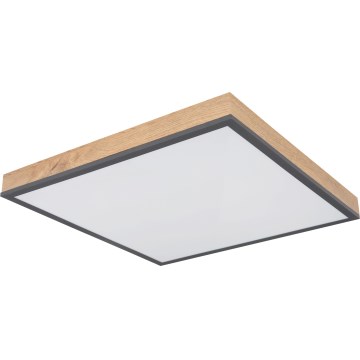 Globo - LED prigušiva stropna svetiljka LED/24W/230V 3000-6500K 45x45 cm
