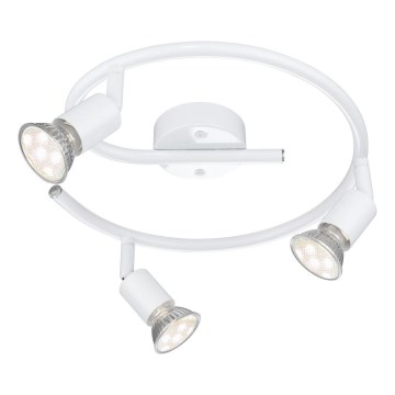 Globo - LED reflektor 3xGU10/3W/230V