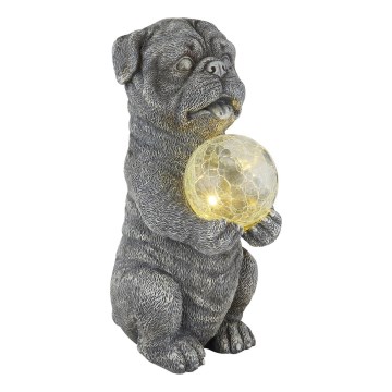 Globo - LED solarna dekoracija LED/0,02W/3V IP44 300 mAh pas