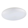 Globo - LED spoljašnja plafonska svetiljka LED/24W/230V IP54