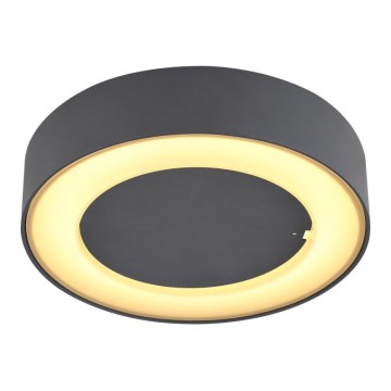Globo - LED spoljašnje plafonsko svetlo LED/12W/230V IP54