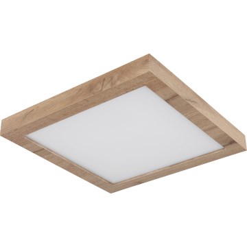 Globo - LED stropna svetiljka LED/16W/230V braon
