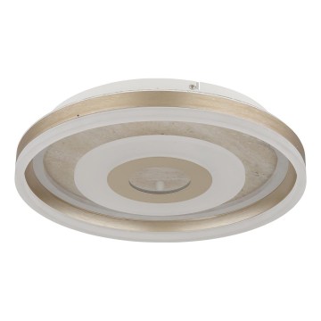 Globo - LED stropna svetiljka LED/24W/230V 3000K prečnik 40 cm