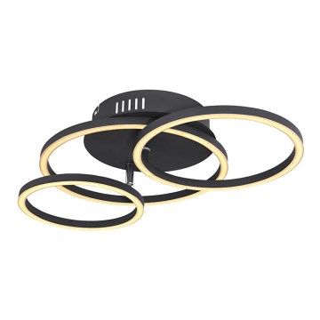 Globo - LED stropna svetiljka LED/30W/230V