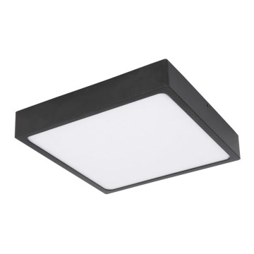 Globo - LED stropno svetlo LED/22W/230V