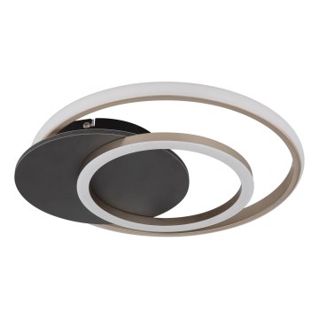 Globo - LED Stropno svetlo LED/24W/230V