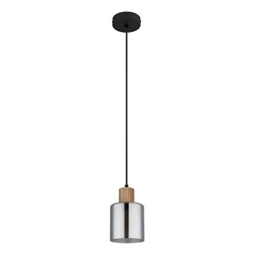 Globo - Luster na sajli 1xE27/25W/230V pr. 12 cm
