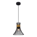 Globo - Luster na sajli 1xE27/60W/230V